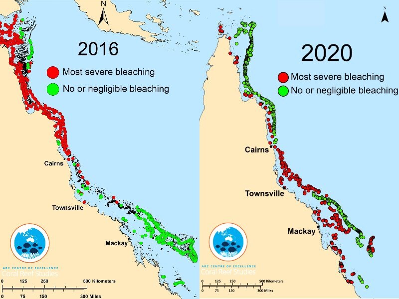 Great Barrier Reef found to be coral bleached from north to south for
