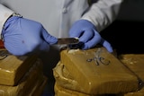 Police chemist removes a sample of cocaine from a brown package for testing.