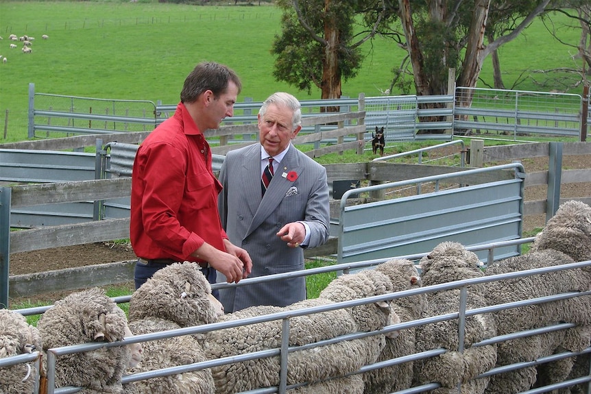 HRH Prince Charles with sheep breeder Brent Thornbury