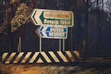 A road sign is blackened and melted with burnt trees behind it.