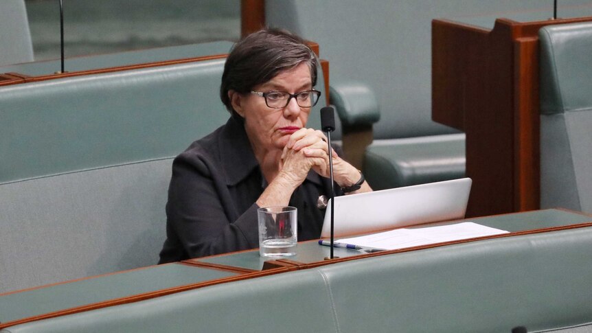 Ms McGowan sits on the backbench, with her hands locked together and a tablet computer in front of her.