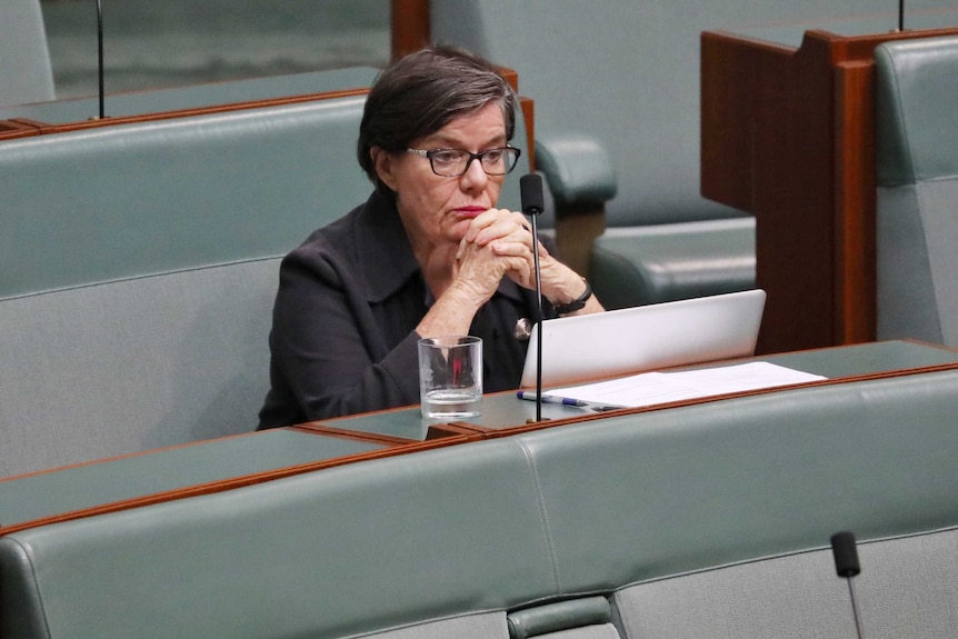 Ms McGowan sits on the backbench, with her hands locked together and a tablet computer in front of her.