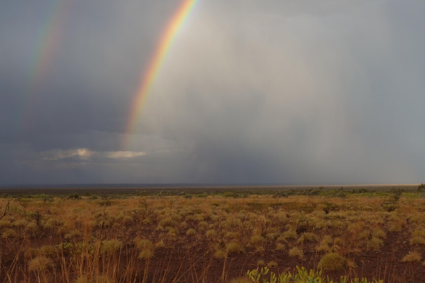 A rainbow forms in the rain band against the bush setting.