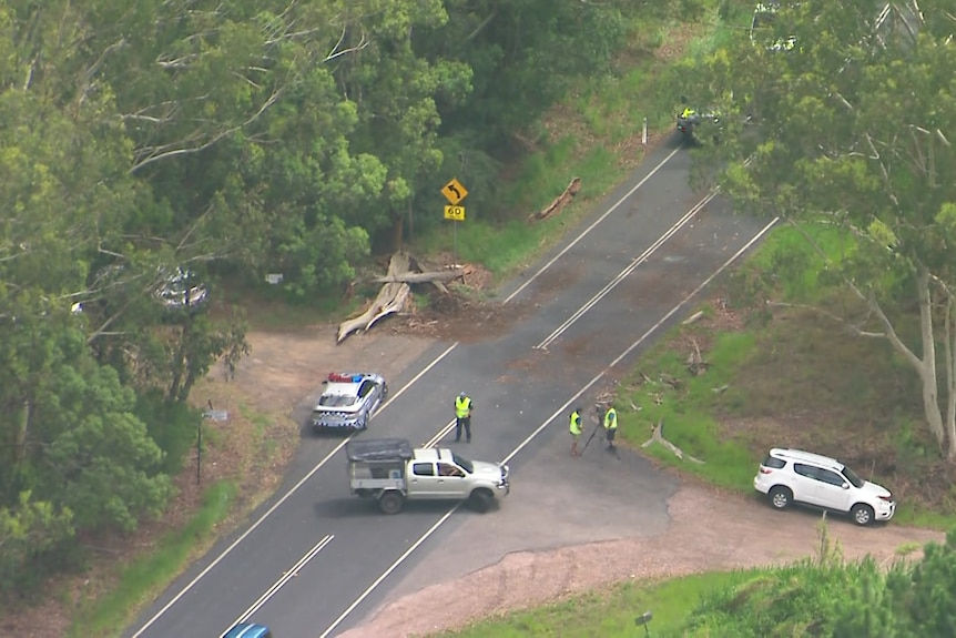 aerial shot of cars alongside a roadway with a fallen tree between them. 