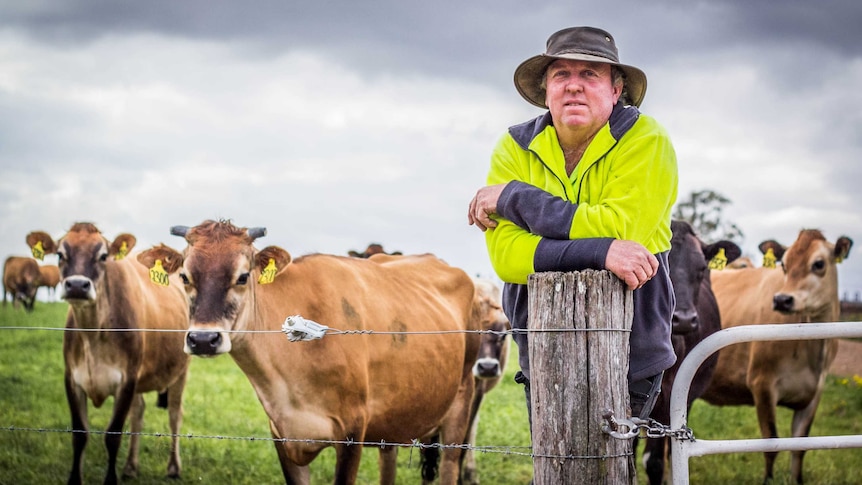 Vacy dairy farmer David Williams