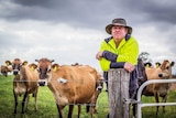 Vacy dairy farmer David Williams is still recovering after the 'milk wars'.