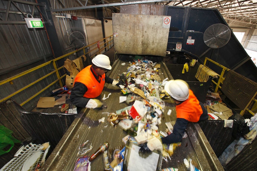 Two men wearing orange high-visibility hard hats and gloves sort waste on a conveyor belt. 