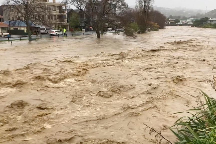 Le acque alluvionali salgono da un fiume al livello della strada a Nelson.