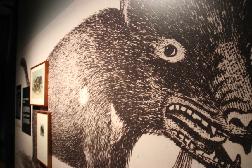 Tasmanian Devil exhibition 2