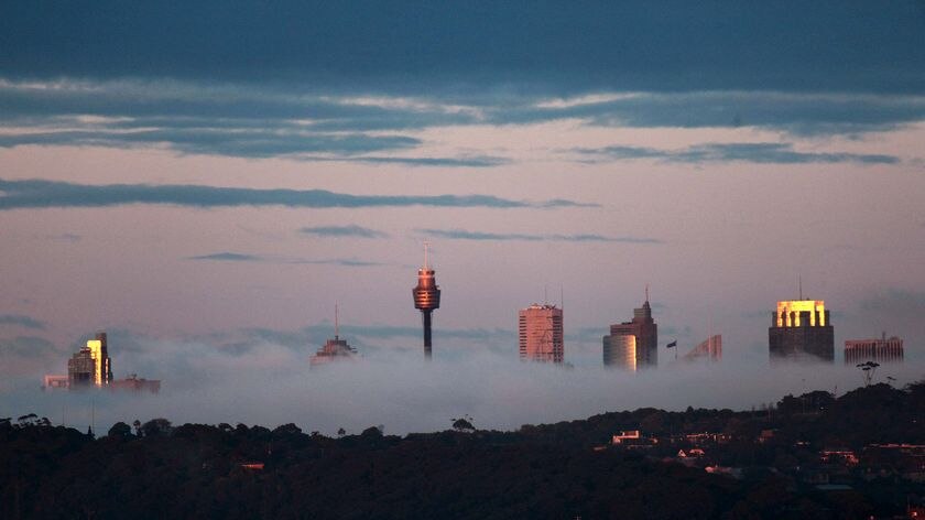 A blanket of fog covers the Sydney CBD.