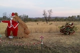 A termite mound dressed up like Santa and a shrub decorated like a Christmas tree on the side of the road near Kununurra.