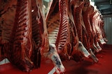 Carcasses hang in an abattoir.