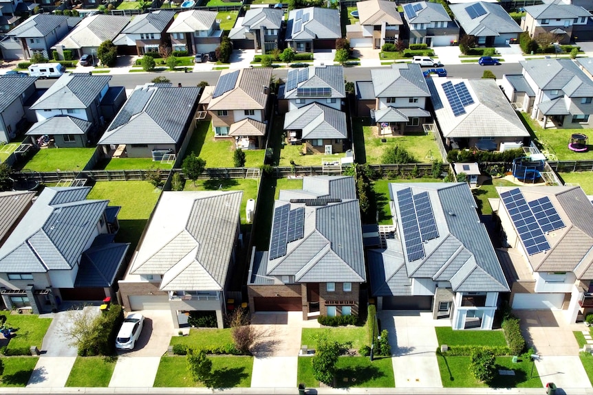 Rows of new houses in a suburb taken from above.