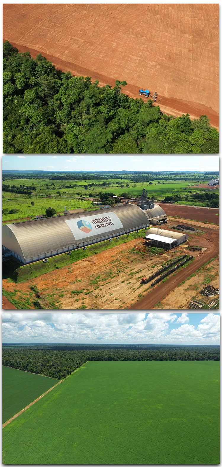 Soybean fields in the Amazon.