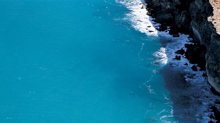 Whales off the Bunda Cliffs (file photo)