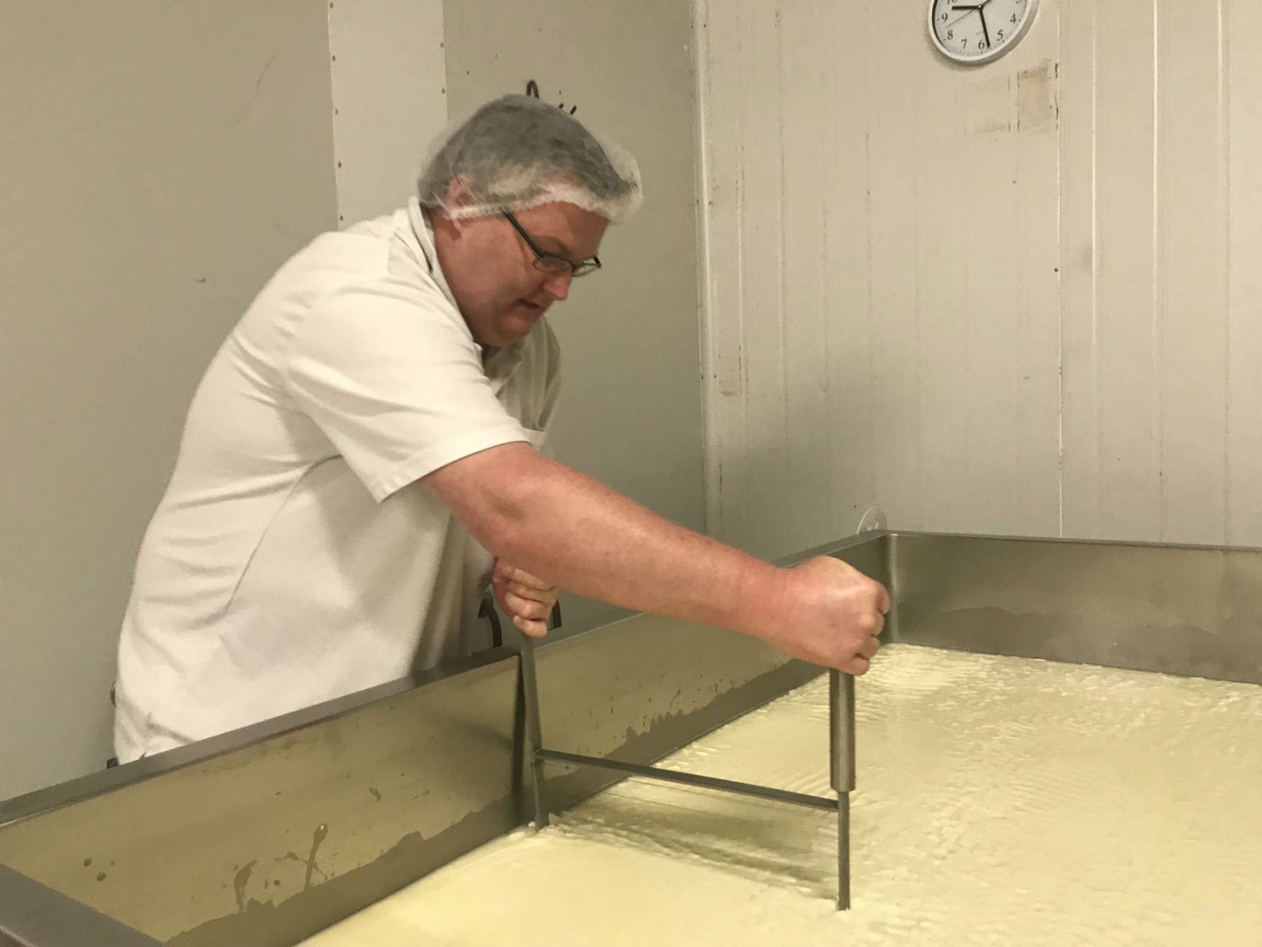 Stefan Wilson dragging a cheese cutter through a vat of milk.