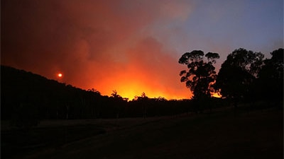 Conspiracy theorists claim Victoria's fires are a plot by Islamic extremists