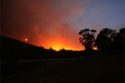 Conspiracy theorists claim Victoria's fires are a plot by Islamic extremists