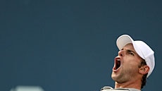 Straight-sets win ... Andy Roddick (File photo)