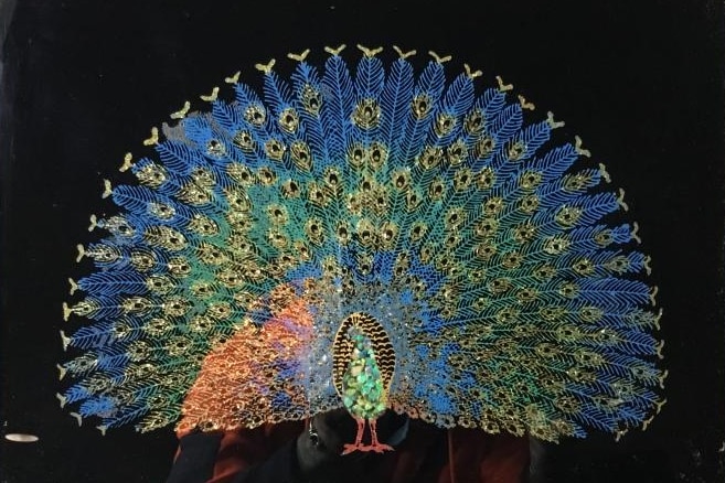 A mixed media artwork depicting a brightly coloured peacock in a golden frame.
