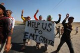 Yazidi refugees plead for help