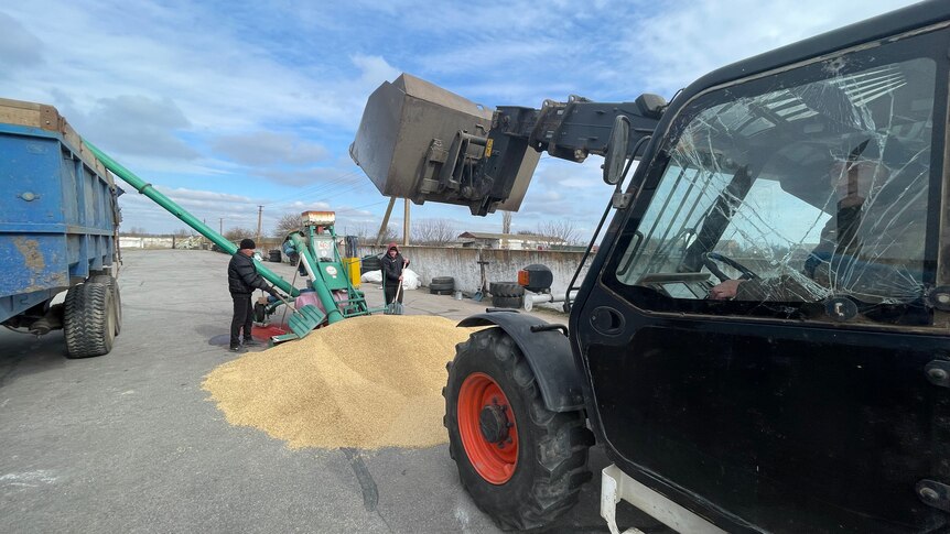 a small pile of grain is being dumped on the ground while workers use a small auger to get it into a truck