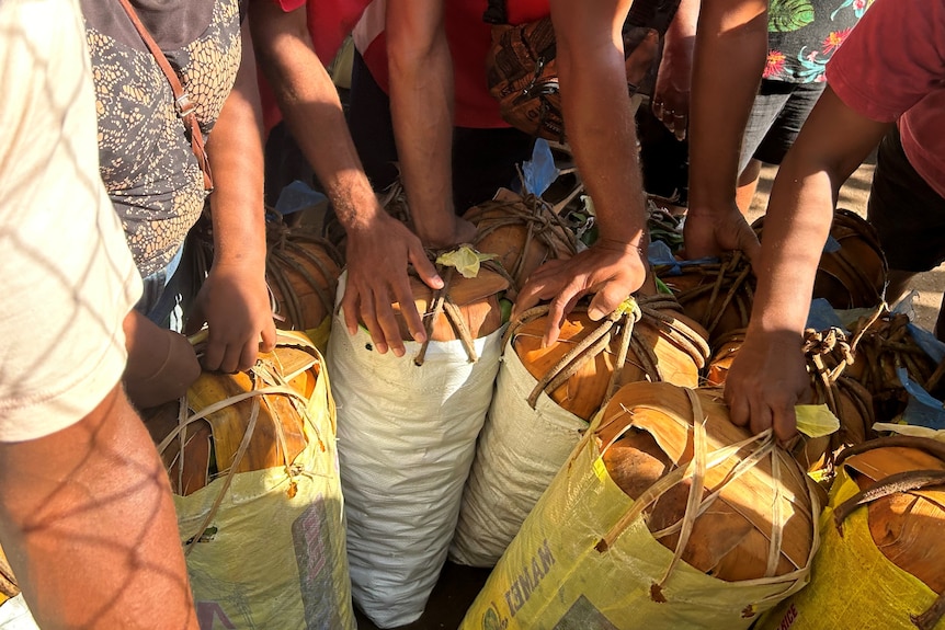 Hombres rodeando bolsas de nuez de betel en las Islas Salomón