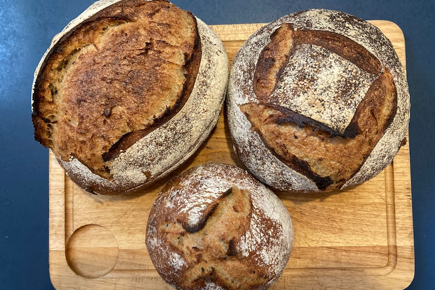 Three loaves of bread baked by author André Dao, two round loaves and one longer loaf.
