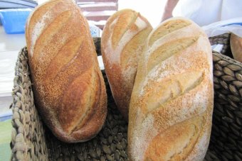 Sourdough baking made easy