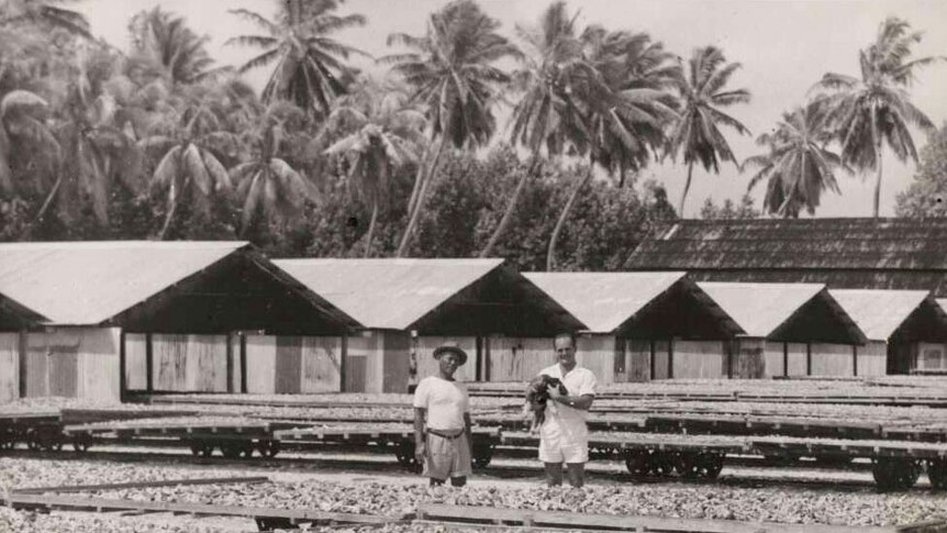 Copra drying on trolleys at Home Island, 1952-1954