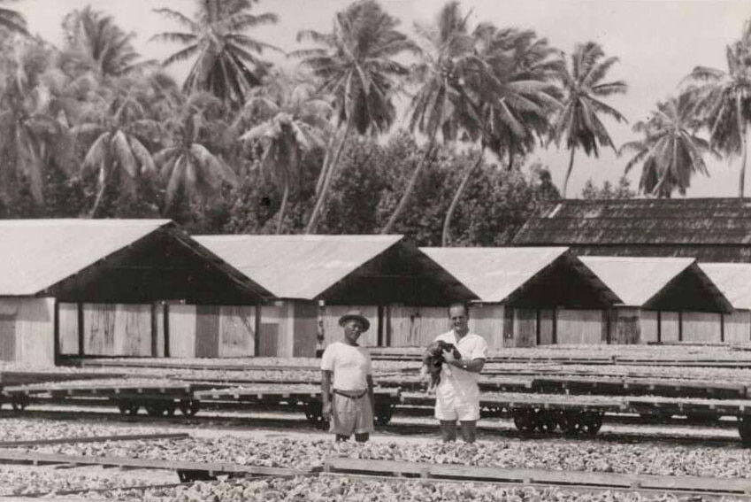 Copra drying on trolleys at Home Island, 1952-1954