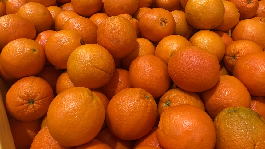 A full bin of oranges 