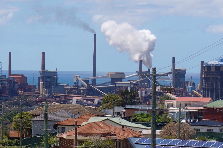 Medium density suburban housing on the fringe of a huge steelworks, beyond which lies the fathomless ocean.