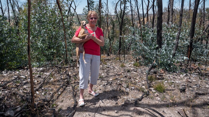 Paula Tose stands holding her dog Minty in the remains of the forest on Checker Hill.