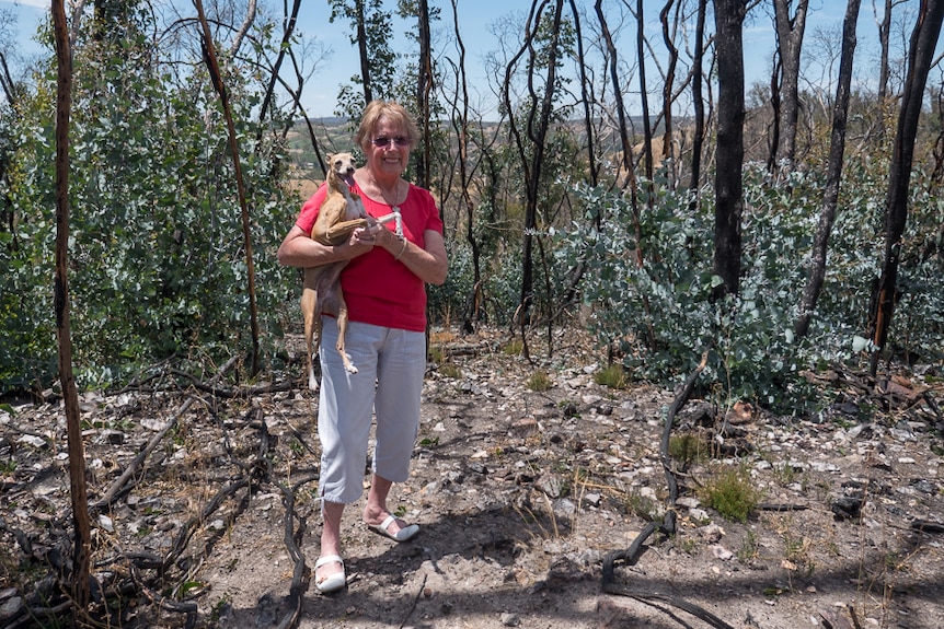 Paula Tose stands holding her dog Minty in the remains of the forest on Checker Hill.