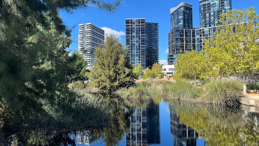 Four apartment buildings next to a lake, with green trees around it