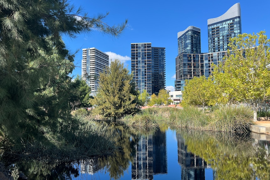 Four apartment buildings next to a lake, with green trees around it