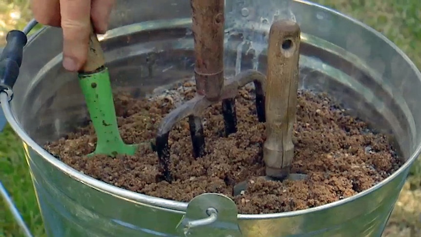 Metal bucket filled with sand with garden tools plunged in