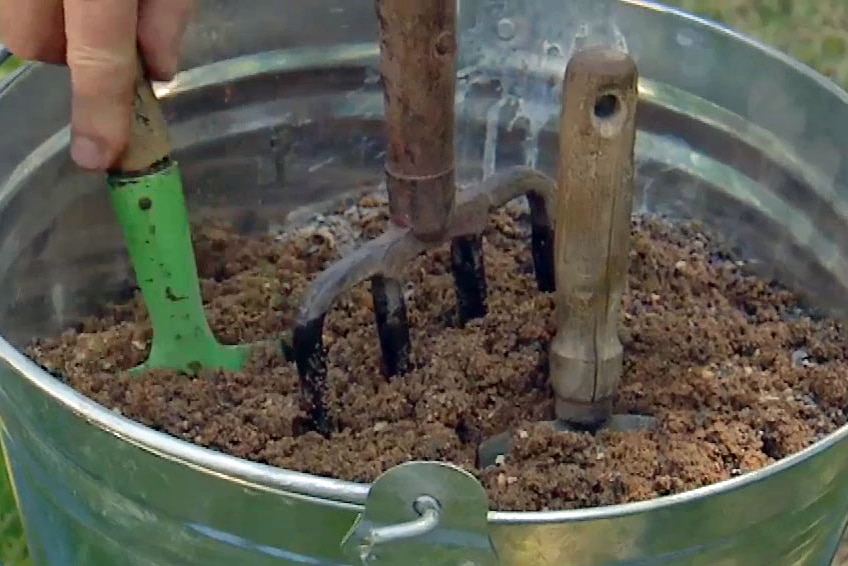 Metal bucket filled with sand with garden tools plunged in