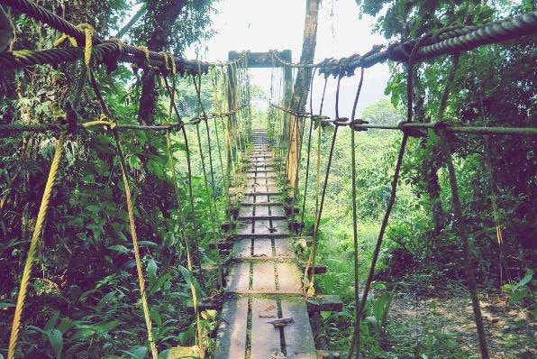 Walkway at Mulu National Park, Malaysia.