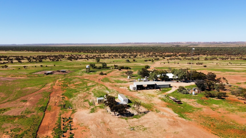 An aerial view of a house and sheds surrounded by outback paddocks turning green