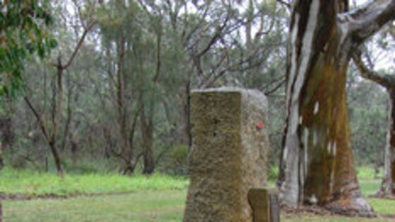 A cross and flowers left near the grave in Kings Park