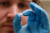 A man wearing blue gloves holds a white pill up to the camera.