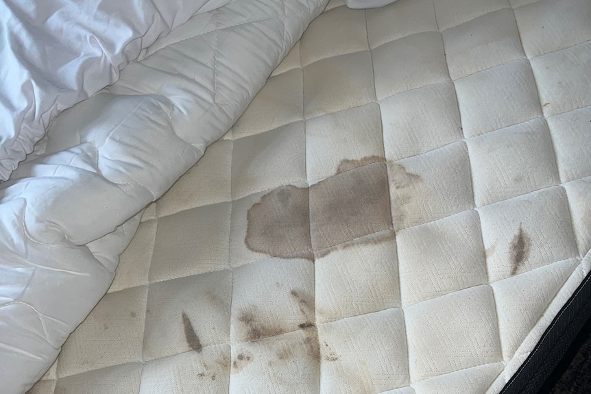 A badly stained mattress.