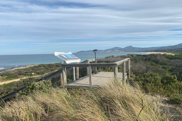 Beaumaris Beach lookout