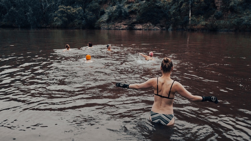 a group of six swimmers take the plunge into the yarra river.
