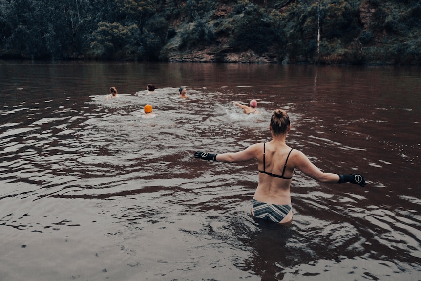 a group of six swimmers take the plunge into the yarra river.