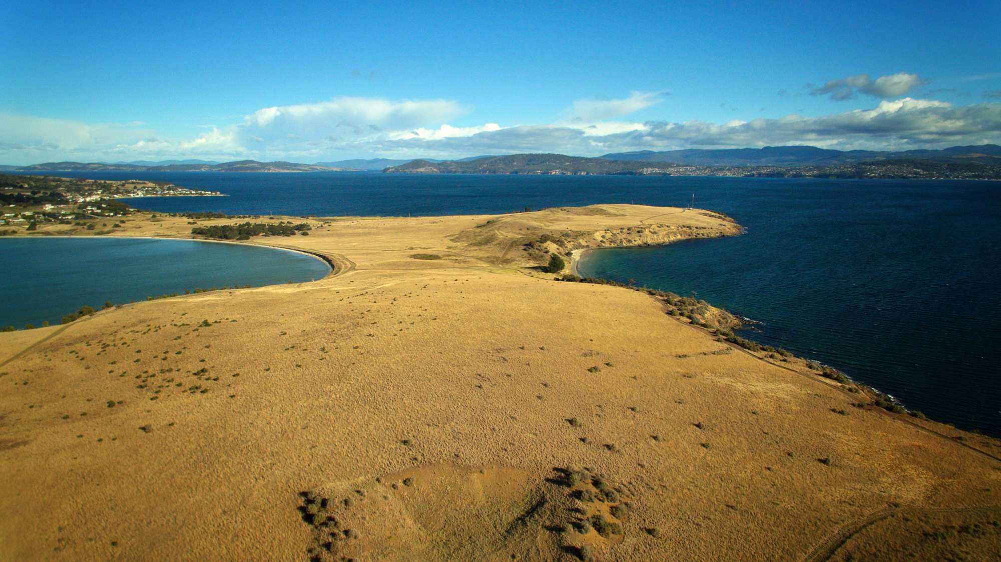 Hobart news Liam Mead inquest continues, Wicked laws are 'working', it