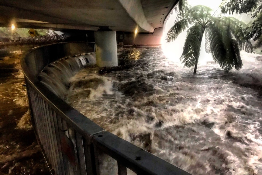 Flood water gushes through barriers at an underpass in Naremburn, with the water almost reaching palm tree's leaves.