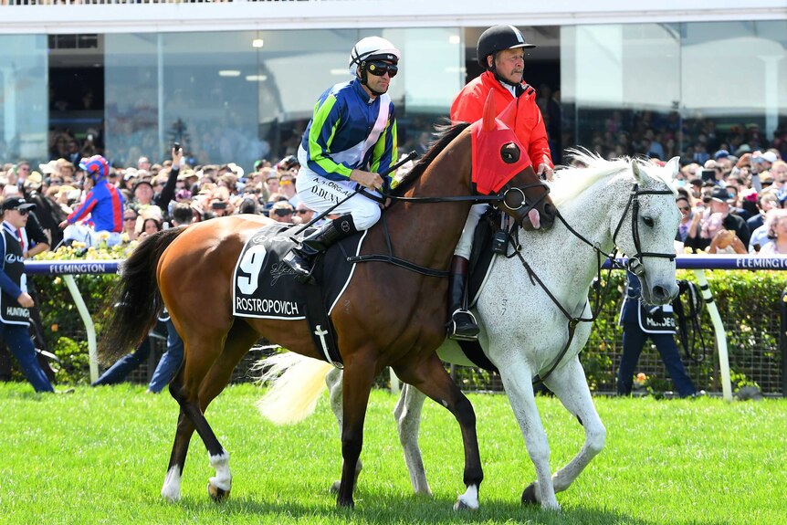 A brown horse walks alongside a white one on Flemington race track. The crowd is visible in the background.